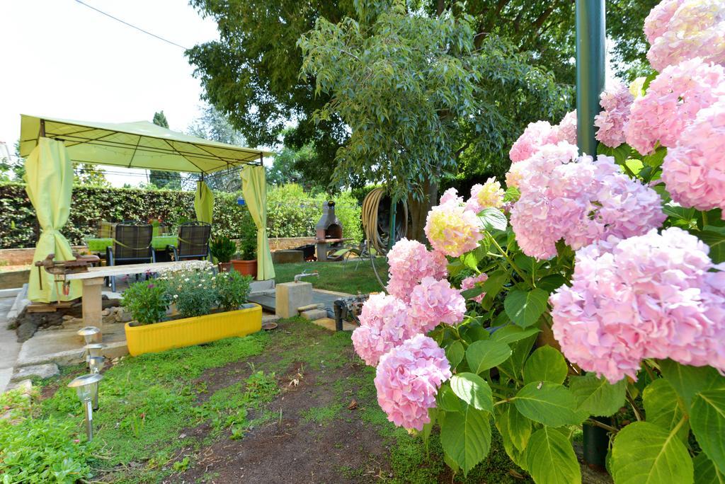 Mirana With Garden And Free Parking *