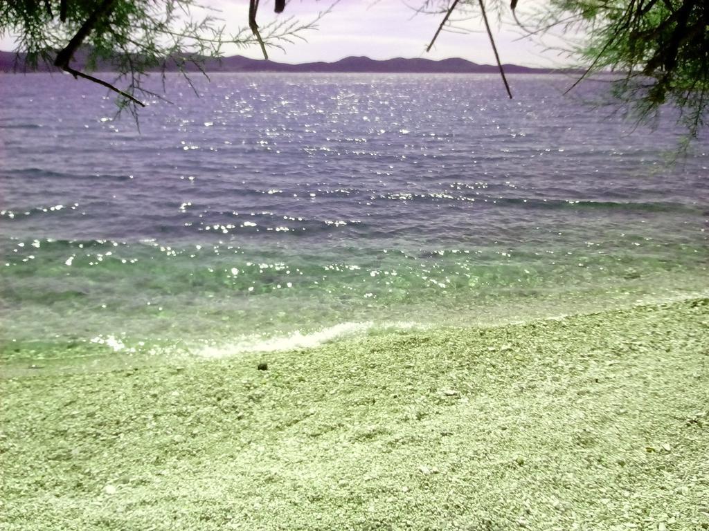 Mirana With Garden And Free Parking * Zadar