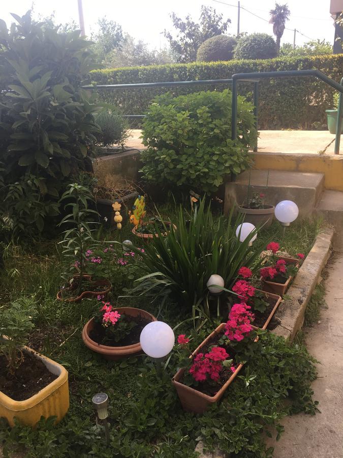 Mirana With Garden And Free Parking