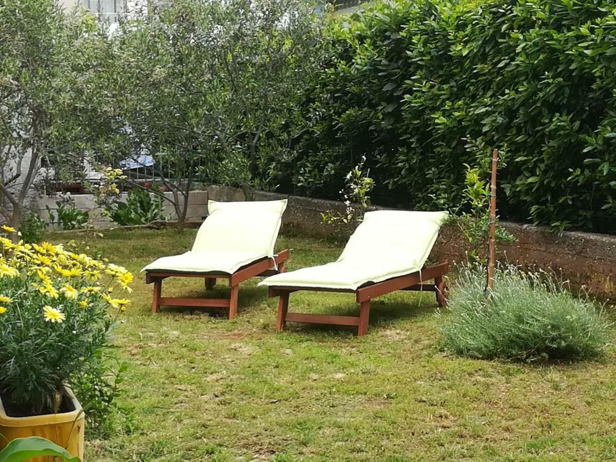 Mirana With Garden And Free Parking