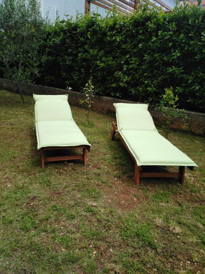 Mirana With Garden And Free Parking * Zadar
